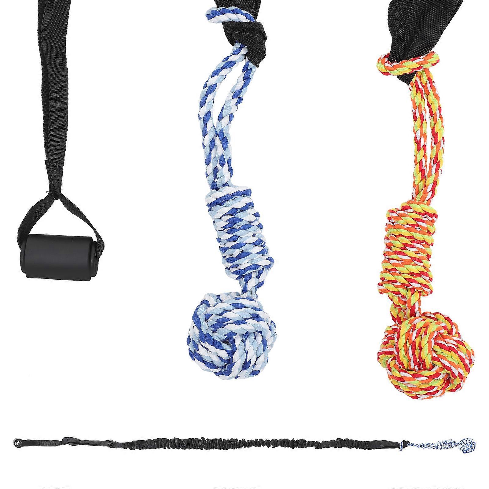 Portable Dog Plaything Wear Resistant Chewing Toy For Daily Entertainment 1Set