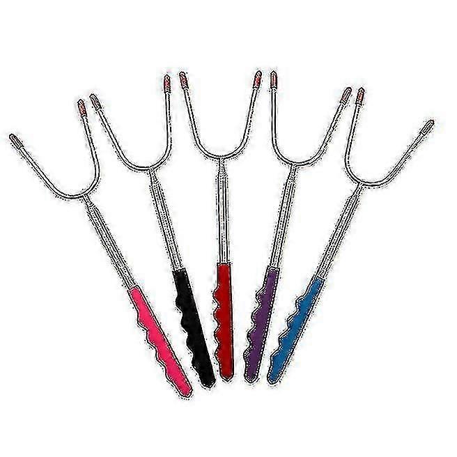 Roasting Sticks-set Of 5 Extendable Stainless Steel Skewers For Camping , Grillb-YGWL