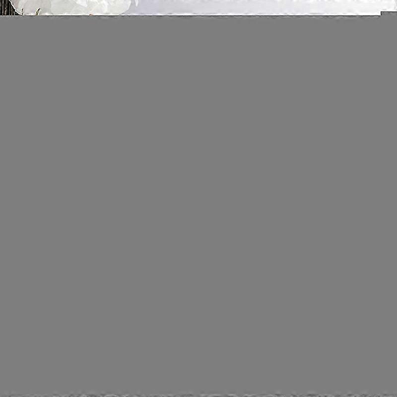 Lower Eyelash Stamp, Lower Eyelash Stamps Tool, False Eyelashes Silicone Stamp DIY Lower Lashes Extensions Natural Look