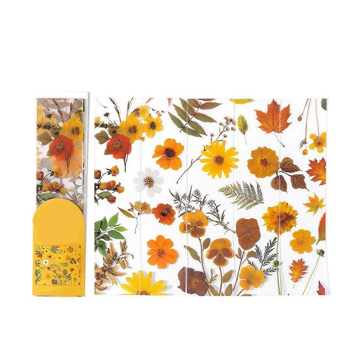 2025 Latest Model 5 Sheets Flower Bookmark PET Innovative Exquisite