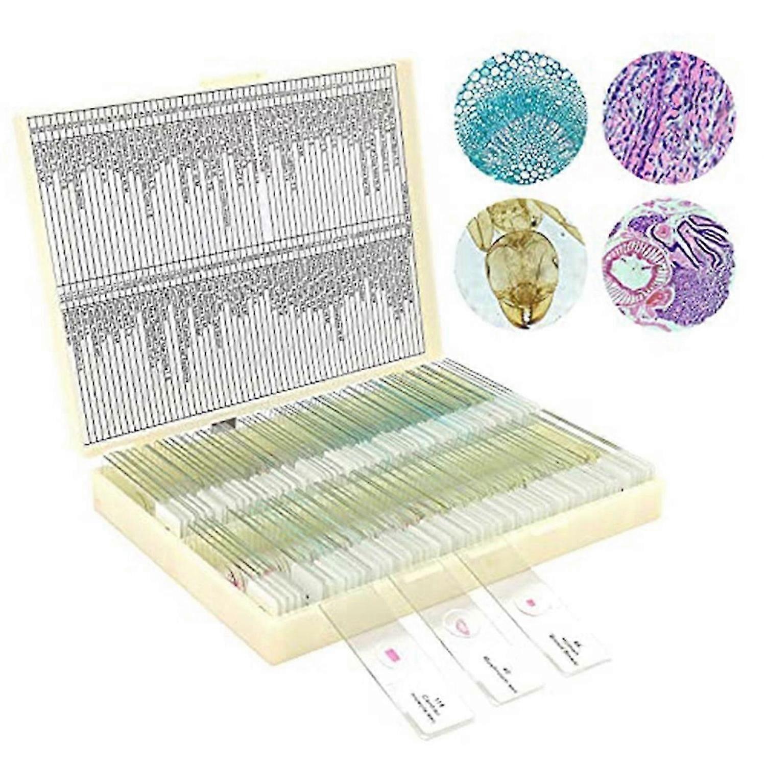 Microscope Slides with Specimens From Children, Microscope Slides
