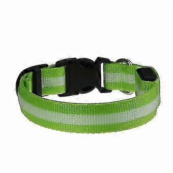 2-Pack 2.5cm Dual-Sided Stripe Collars with LED Beads and Lamp