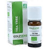 Tea tree 10 ml of essential oil