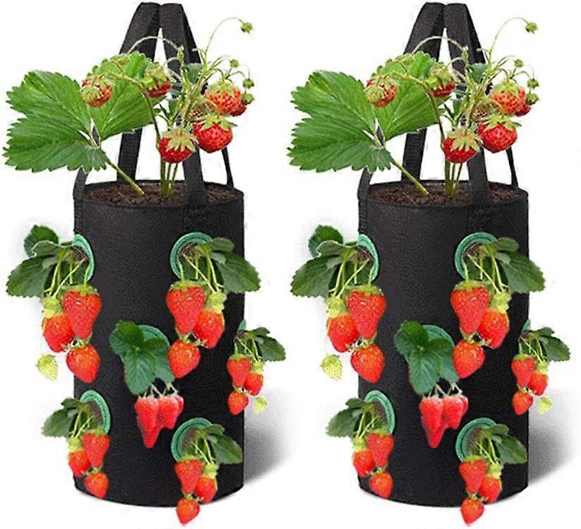 2 حزم أكياس الفراولة تنمو ، 3 جالون كيس الغراس تنفس مع 12 جيوب جانبية تنمو مقابض لحديقة الفراولة والأعشاب