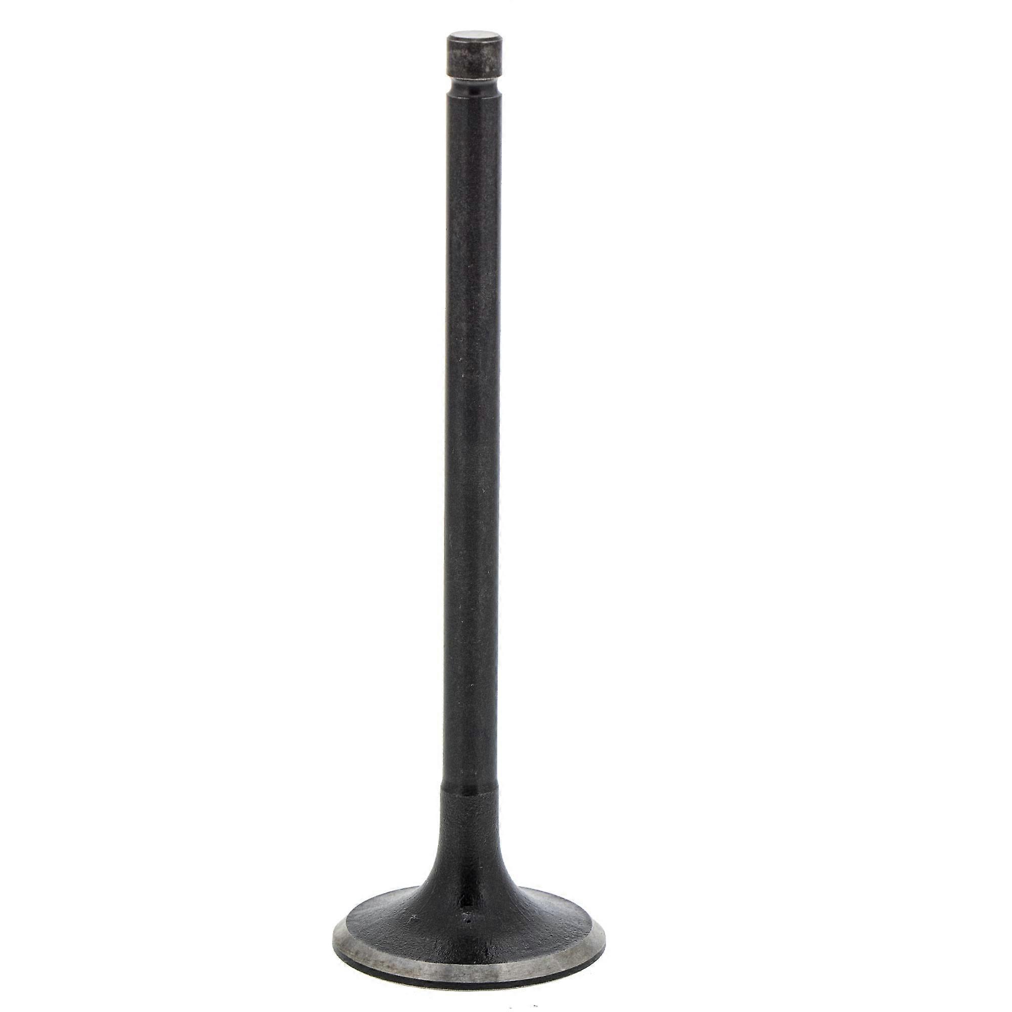 Intake Valve 503-00956 for Challenger MX750 EPS, CX750, CX700, Crew 750, 700 Models - High-Quality Replacement Part