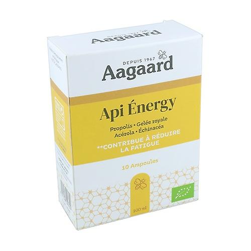 Api 'Energy BIO 10 ampoules