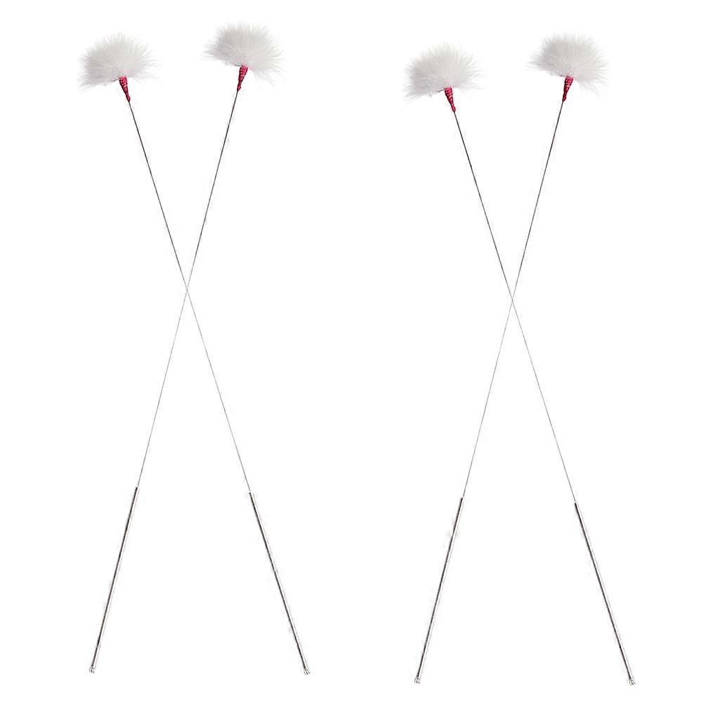 Earwax Removal Tools with Metal Handles and Goose for Home Use 4pcs White