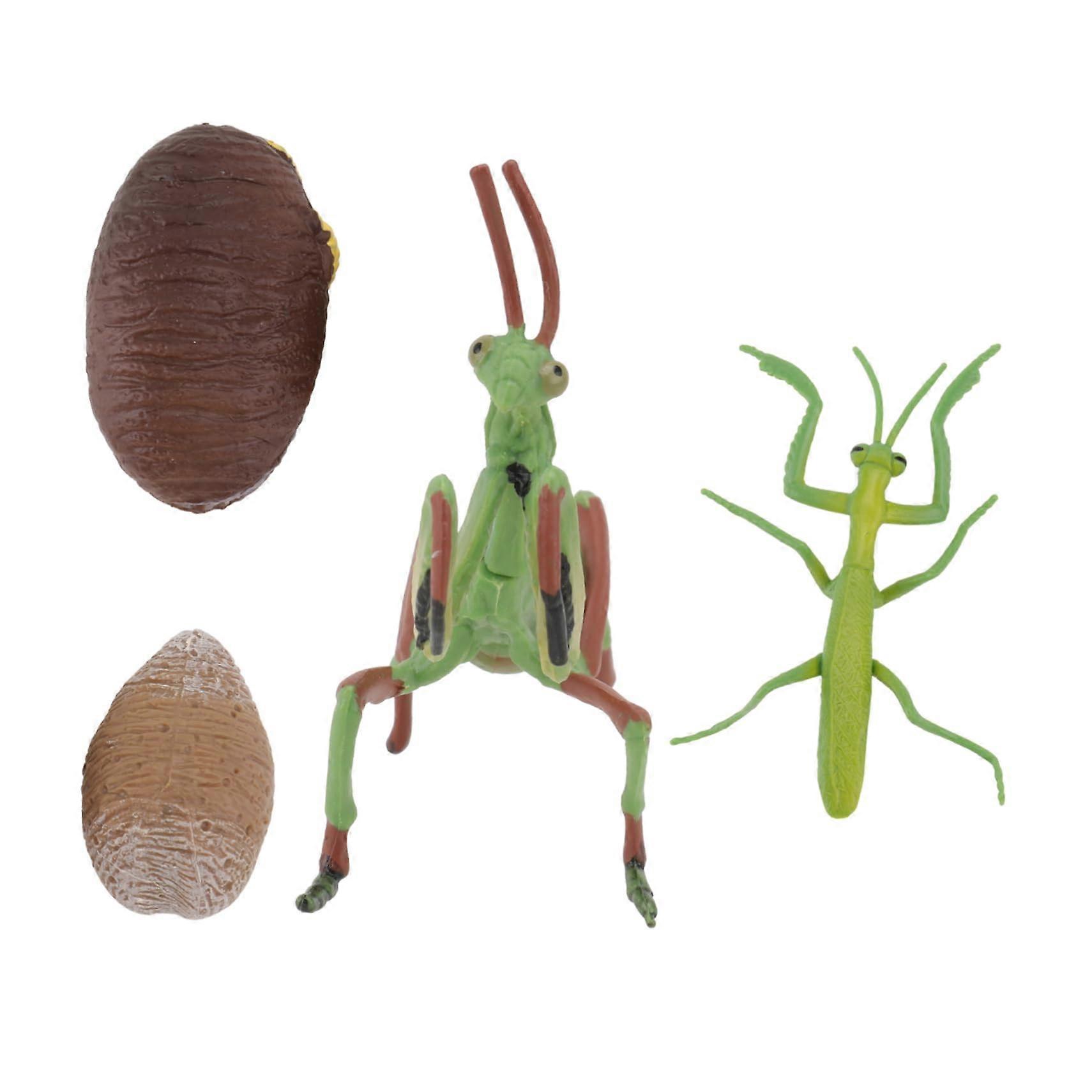 Realistic Mantis Life Cycle Model Set for Kindergarten Educational Games, Durable Figurine for Learning and Birthdays