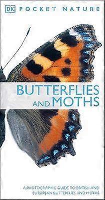 Butterflies and Moths