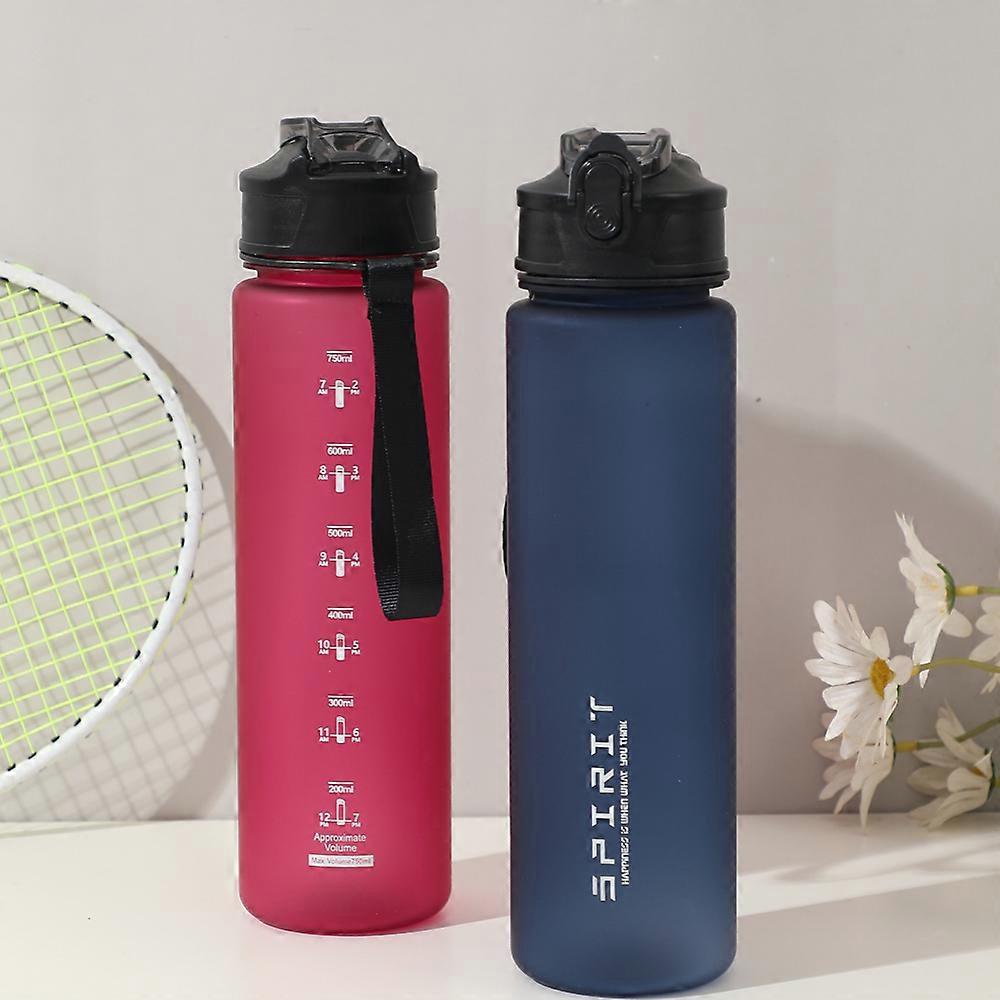 750ML Leak-Proof Sports Water Bottle with Straw and Carrying Loop BPA-Free Portable Mug with Seal Lid for Fitness Camping