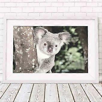 Koala Australian Native Jigsaw Puzzle TU2108
