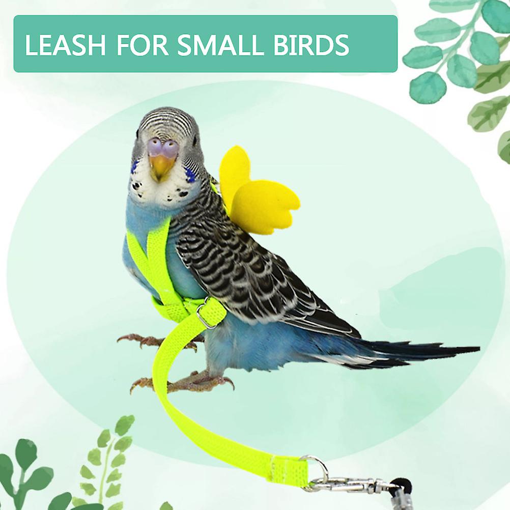Cute Winged Harness and Leash for Small Birds Flying Training Outdoor Adjustable Winged Harness and Leash for Parrots Pigeons