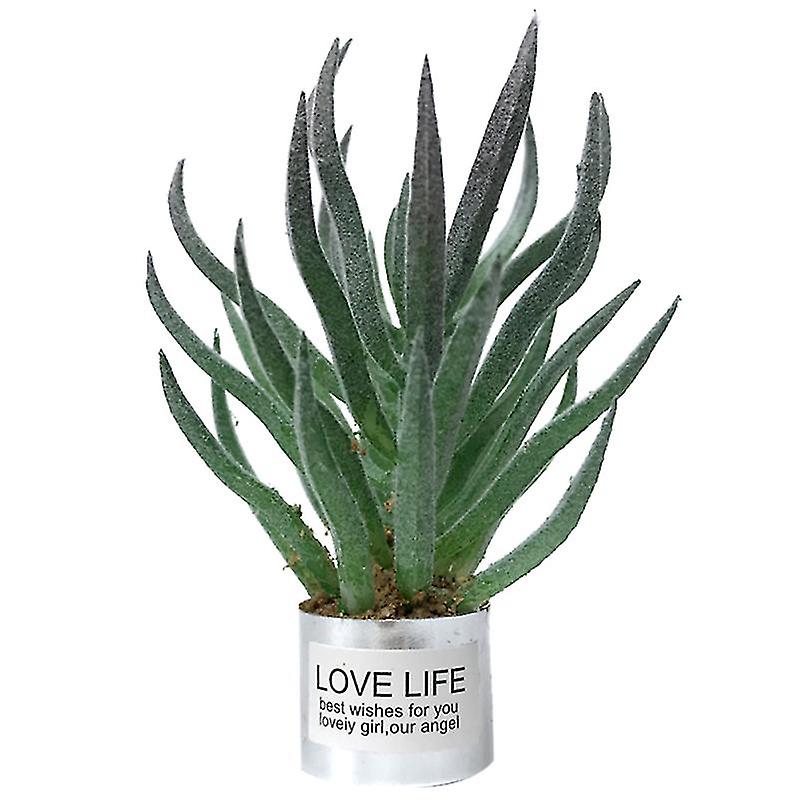 1pcs Mini Green Plants