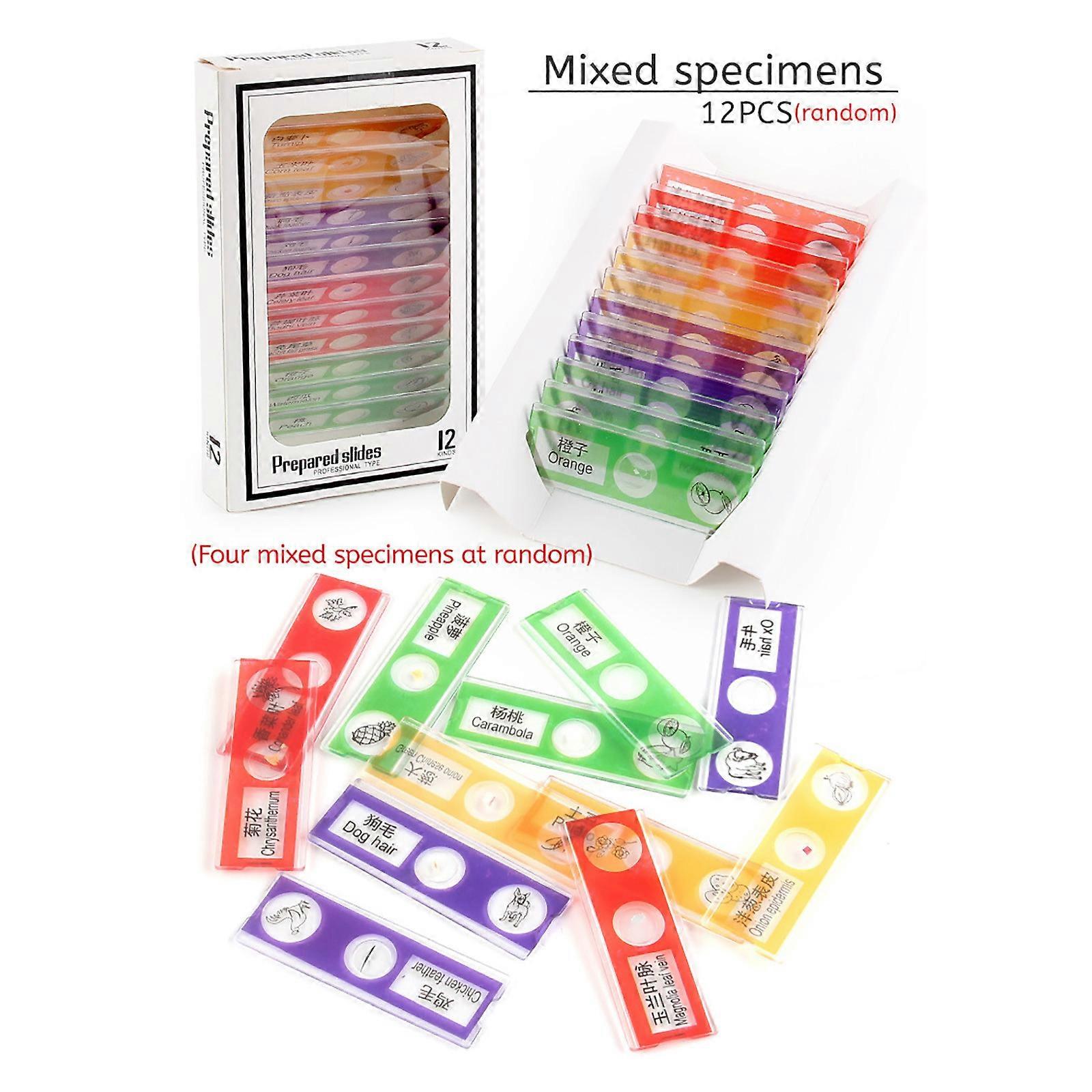 Children's Microscope Specimens,, Plant And Insect Biological Sections, Scientific Small Production, Experimental Toys