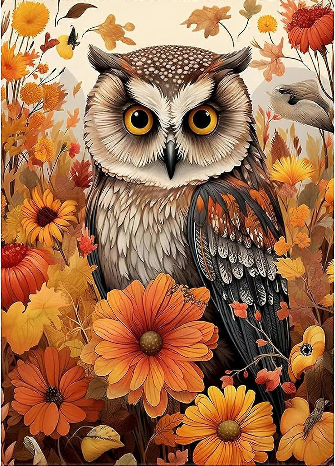 DIY 5D timanttimaalauspöllö 30 x 40 cm (tyyli 13)