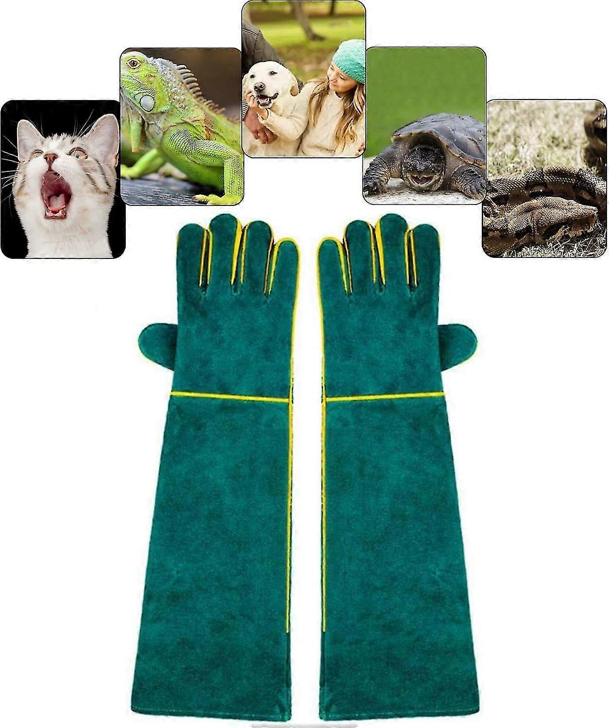 Anti-bite Animal Handling Gloves, Safety Leather Work Gloves For Bathing, Grooming, Handling Dog, Cat, Bird, Snake, Lizard, Reptile - Protective Glove