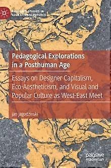 Pedagogical Explorations In A Posthuman Age by jan jagodzinski Hardback Book