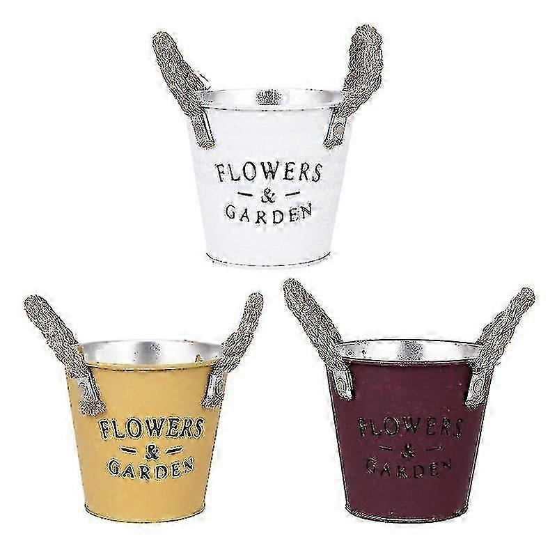 unique 3pcs Gardening potted plants, Rustic Flowerpot