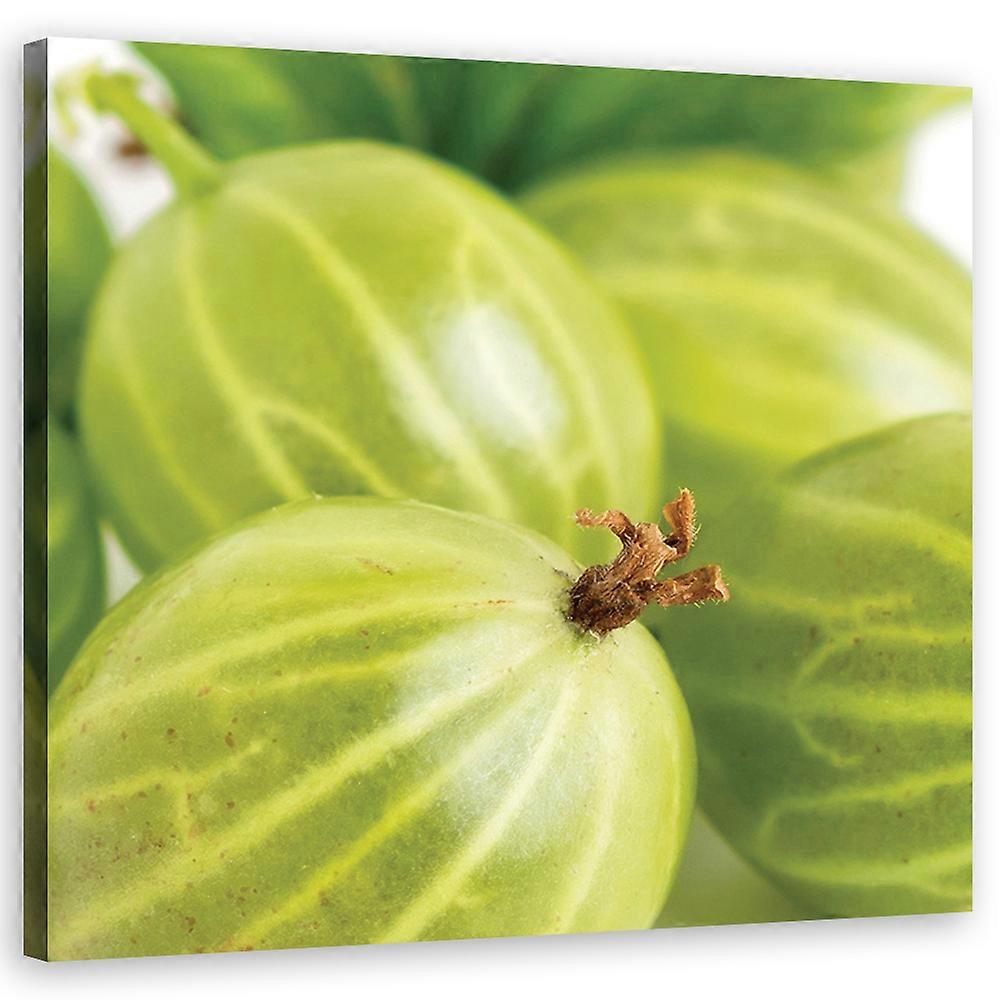 Fotobehang, Kruisbes fruit - 60x60