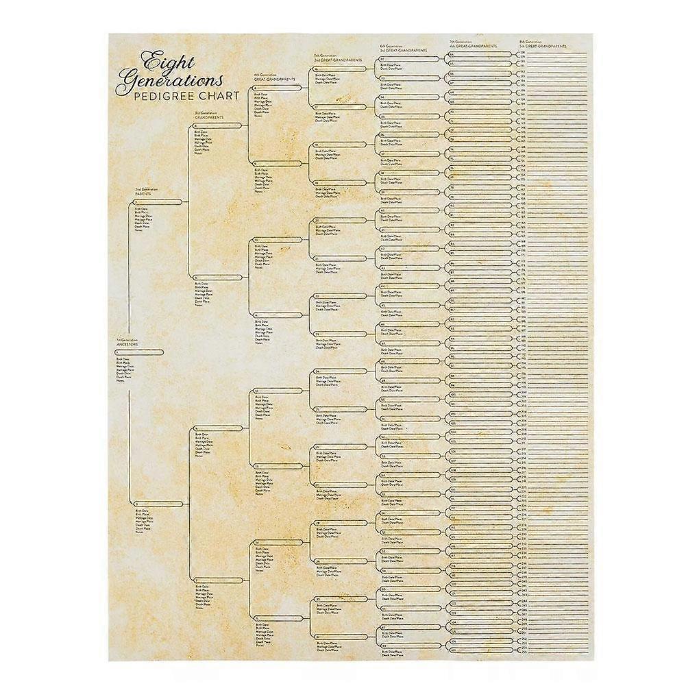 مخططات شجرة العائلة لملئها ، ملصق الأنساب من الجيل الثامن ، 17 × 22