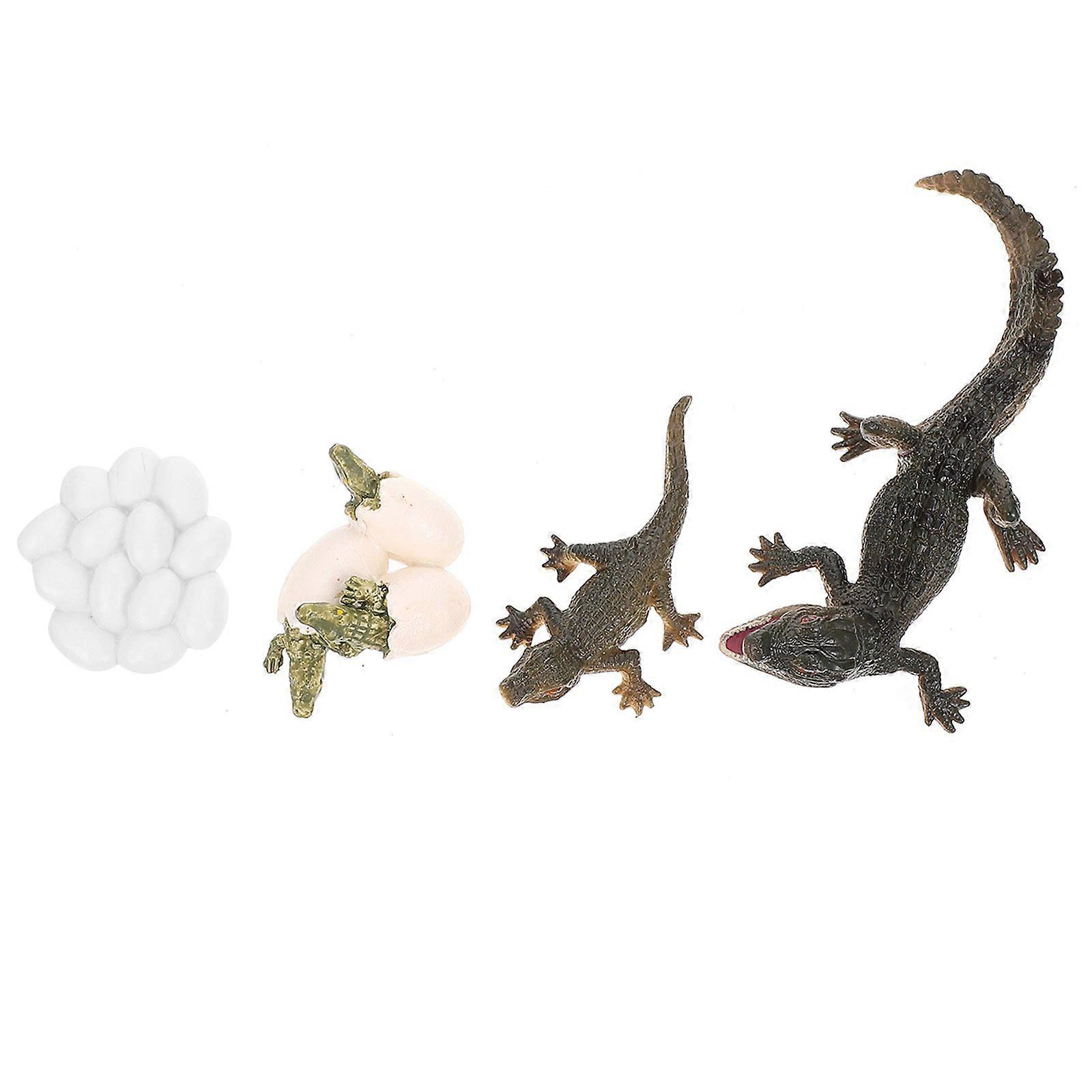 1 Set Life Cycle Figure Animal Life Cycle Figure Early Education Prop (Color Difference)