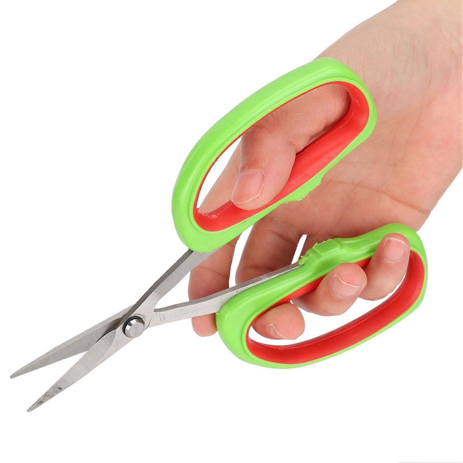 Stainless Steel Grape Pruning Shears 15cm Garden Scissors