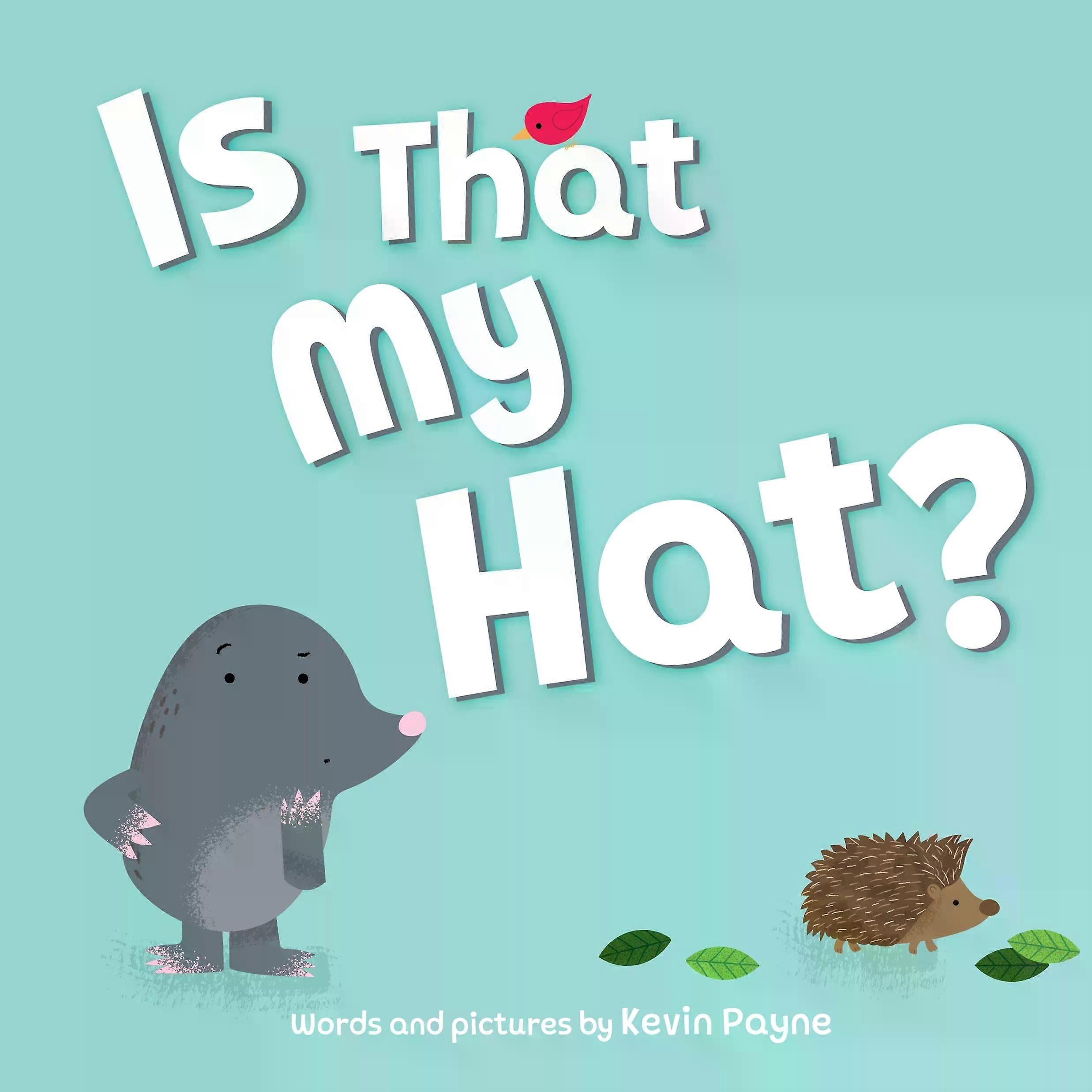Is That My Hat by Kevin Payne Hardback Book
