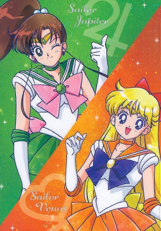 Sailor Moon 13Jigsaw Puzzle Brain Teaser UE 1475