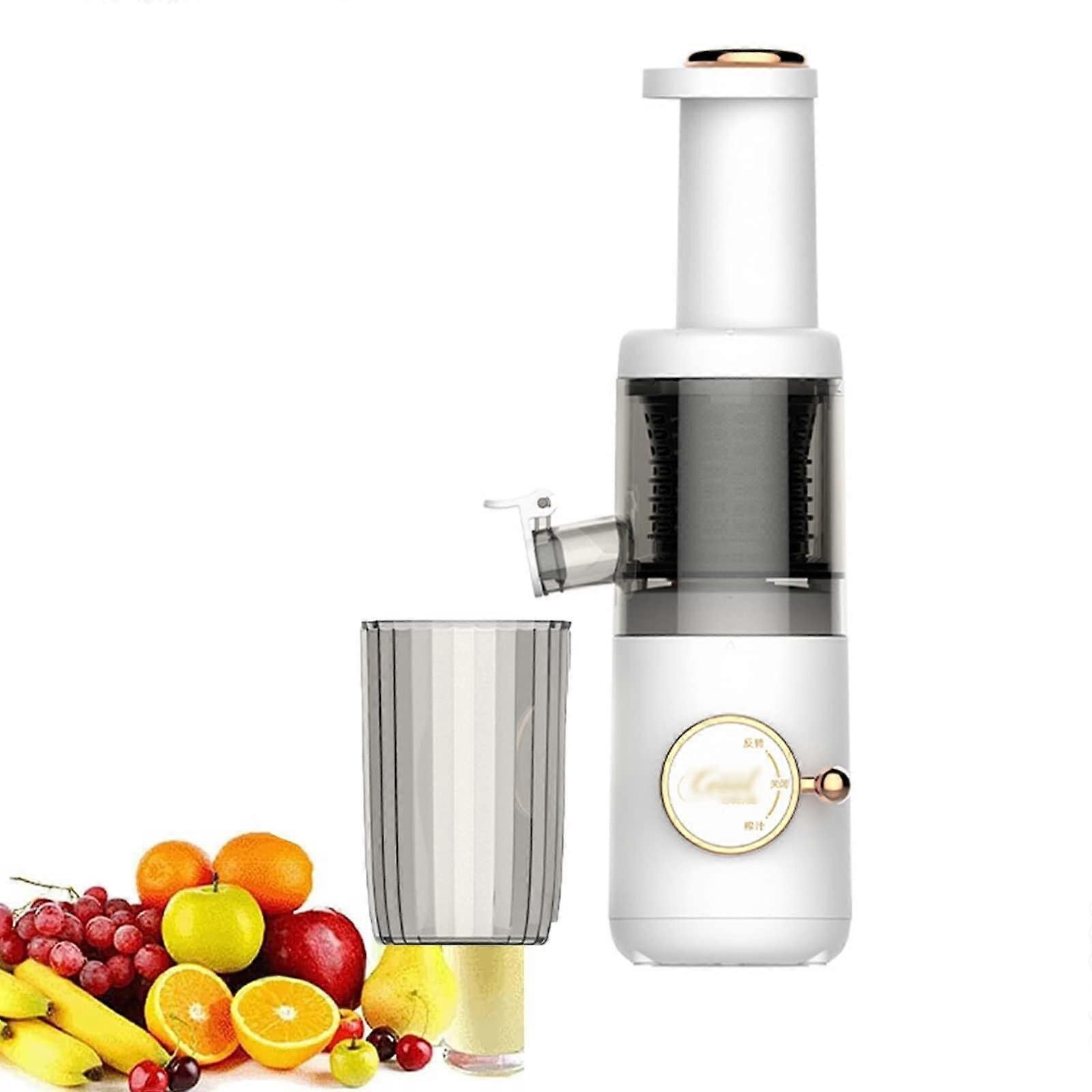 Slow Juicer Electric Cold Press for Fruits and Vegetables, 620ml Capacity, Reverse Function