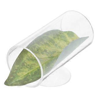 Aquariumtunneldecoratie, betta-schuilplaats, grot, acryl aquariumbed, accessoire voor aquarium
