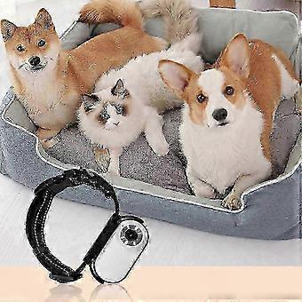 Collar con cámara para gatos, video 1080p, resistente al agua, GPS, rastreador para mascotas con visión nocturna y monitoreo de actividad para la seguridad de su mascota, xxxx