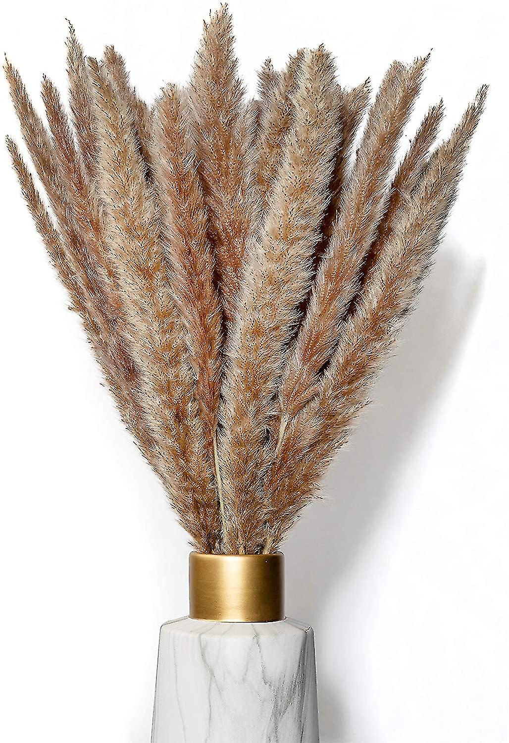 10pcs Dried Natural Pampas Grass