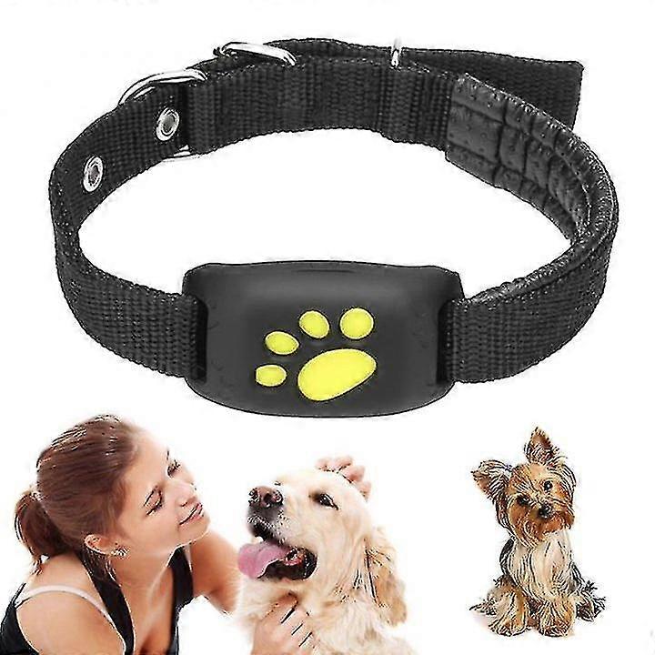 Smart Gps Cat And Dog Collar Tracker