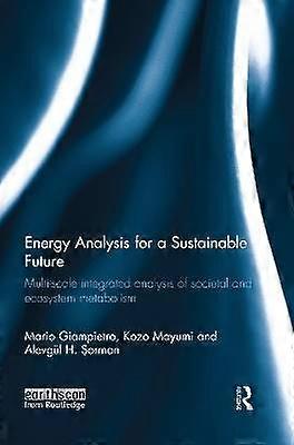 Energy Analysis for a Sustainable Future