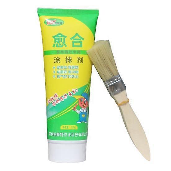 250G Bonsai Grafting Paste Plant Healing Agent with Brush Repair Damage Pruning Paste Plant Supplies