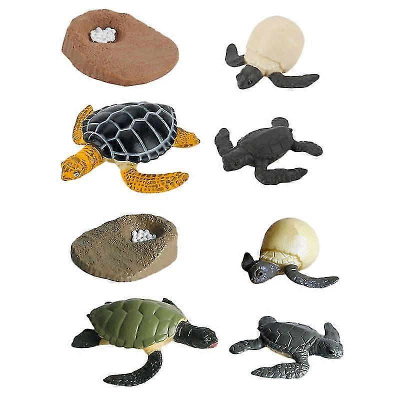 2 Sets/8pcs Simulation Sea Turtle Life Cycle Model Cognitive Model Toy For Kids