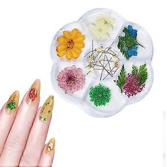 1 pudełko suszone paznokcie kwiatowe dekoracja DIY paznokcie sztuka fałszywe kwiaty dla kobiet manicure DIY ozdoby do paznokci