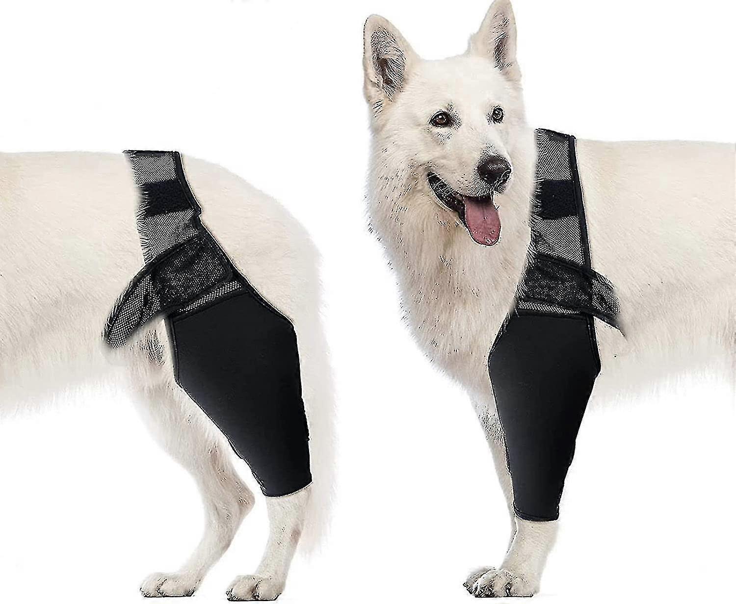 Tutore di supporto per gomito per cani per alleviare l'artrite, comodo manicotto per displasia e calli