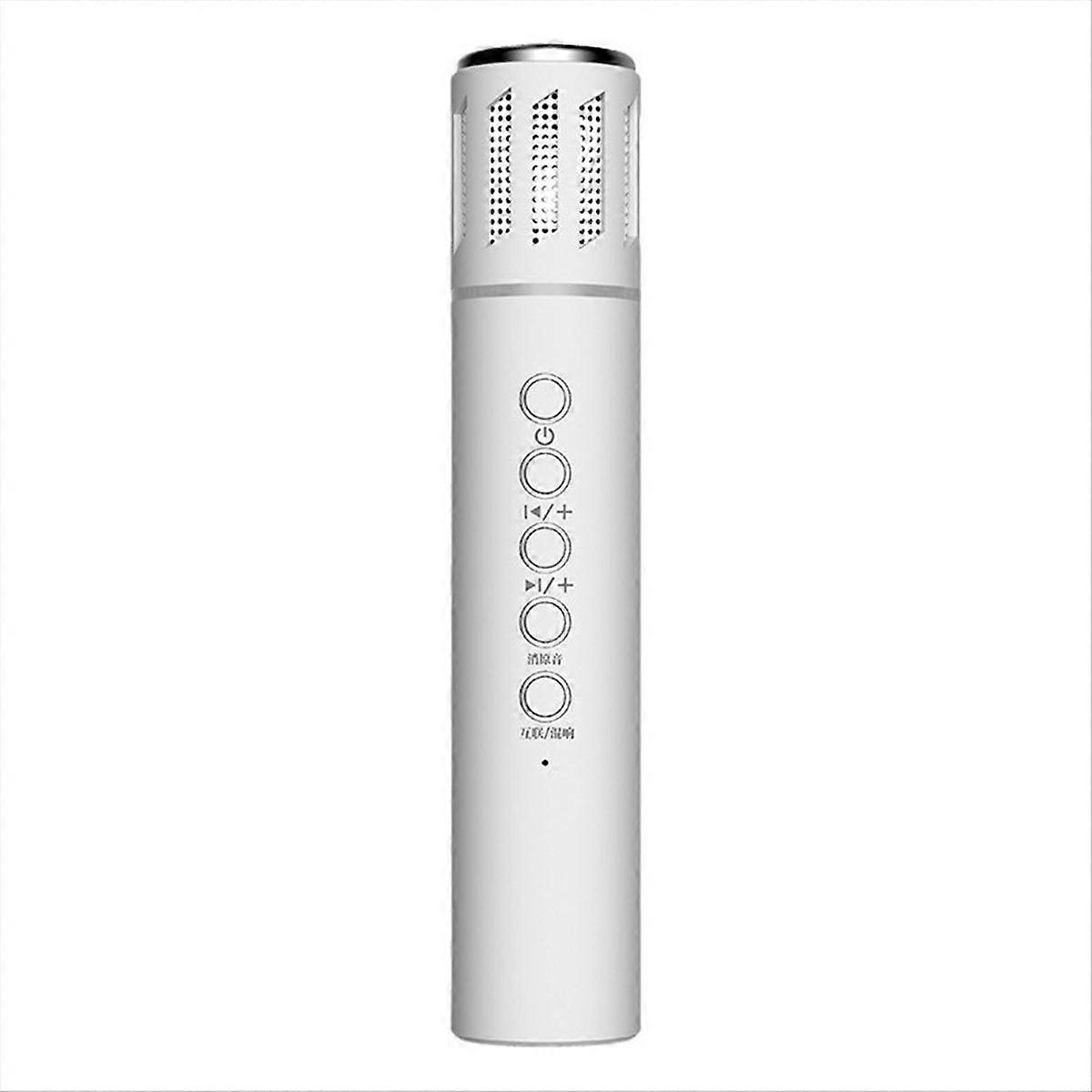 Wireless Bluetooth Portable Hand-held Microphone Noise Reduction A