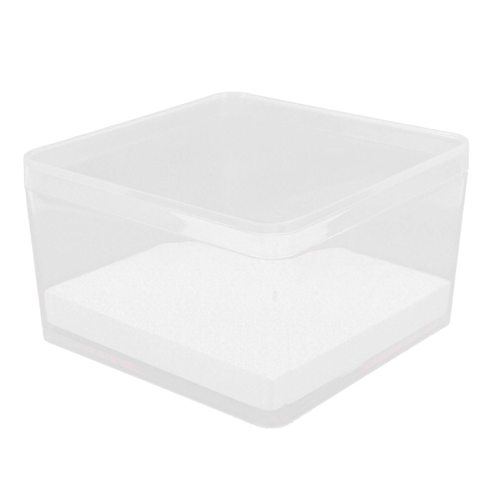 Miniature Specimen Box for Insect Display with Transparent Design 1Set