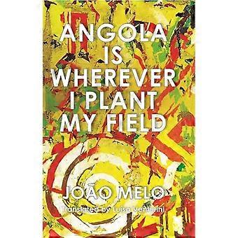 L'Angola est là où je plante mon champ