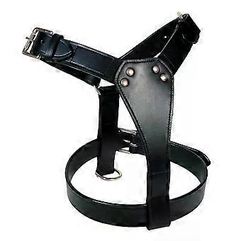 LEATHER DOG HARNESS PLAIN IN 6 COLOURS, FULLY PADDED CHROME PLATED BRASS FITTING