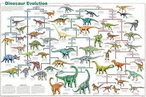 Dinosaur Evolution Educational Jigsaw Puzzle Brain Teaser SC242