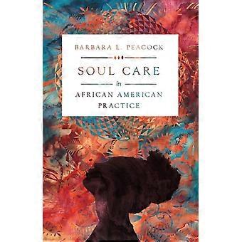 Soul Care In African American Practice - Barbara L. Peacock - Paperback - en Book