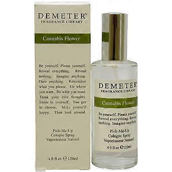 Demeter Cannabis Flower für Damen 4 oz Cologne Spray