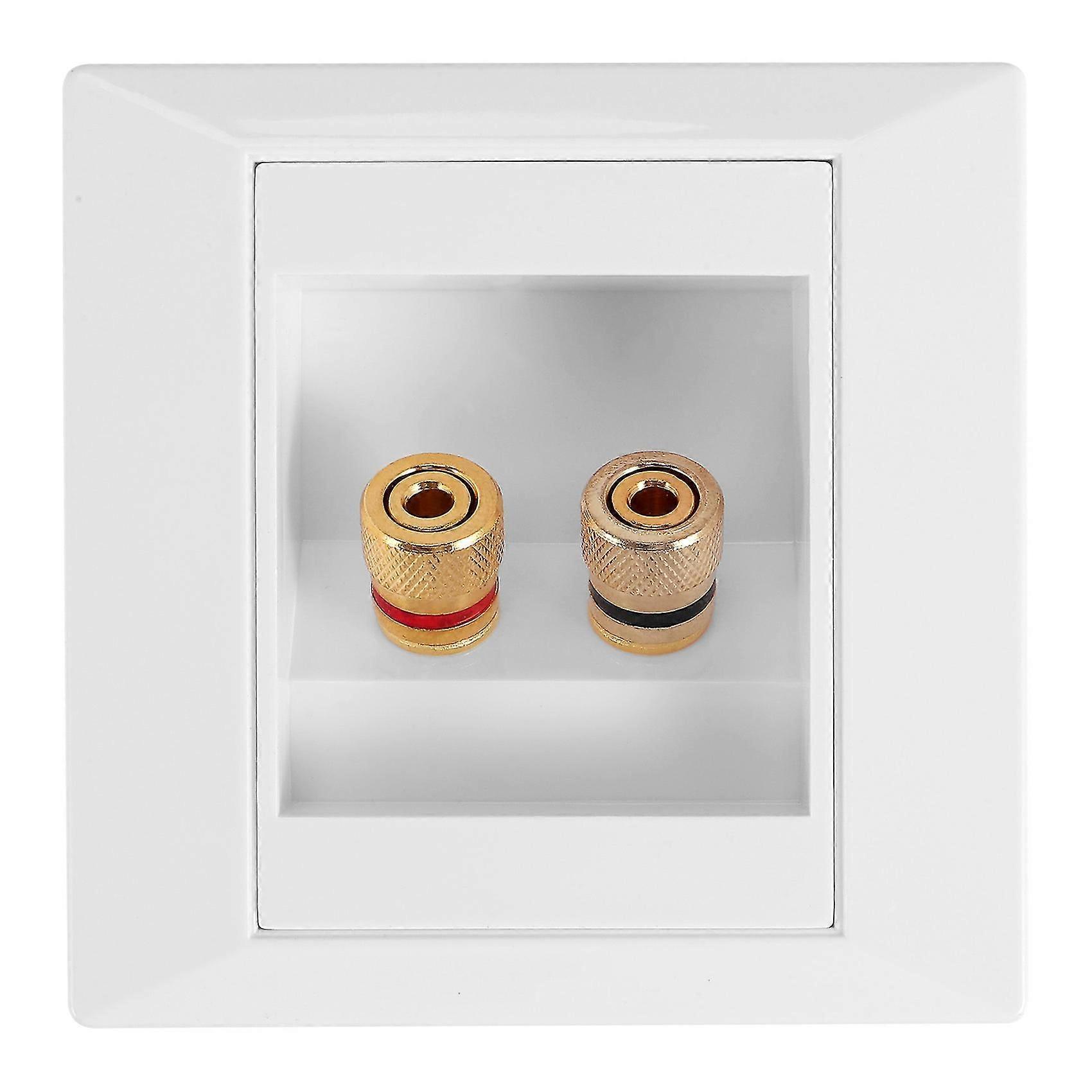 Wall Socket Connection Port with 2 Speaker White