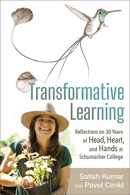 Transformative Learning Paperback Book