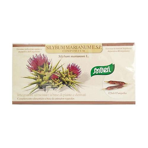 Silybum marianum vials Esp 12 ampoules