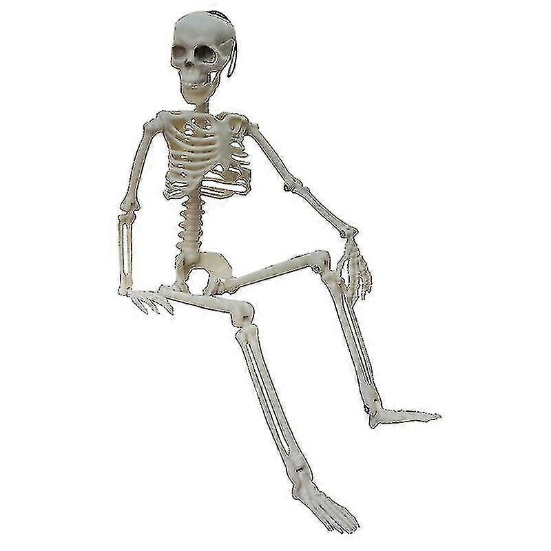 Car Decoration Spoof Active Human Skeleton Model Anatomy Skeleton