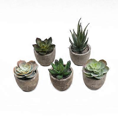 3pcs naturally degraded pulp pot simulation succulent plant potted
